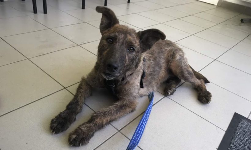 Anka ♥VERMITTELT♥