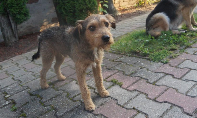 Füge ♥vermittelt♥