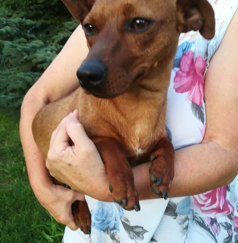 Oskar ♥vermittelt♥