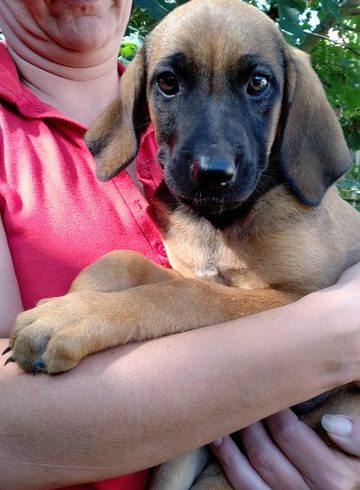 Tabita❤vermittelt❤