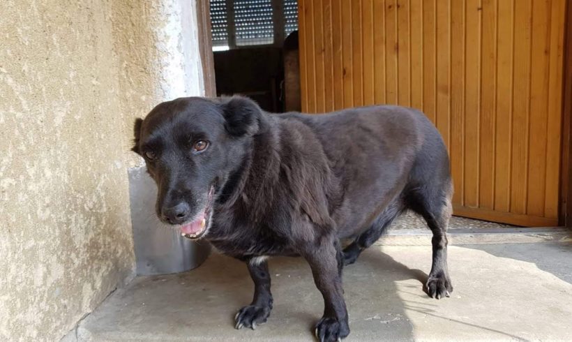 Deszö ♥vermittelt♥