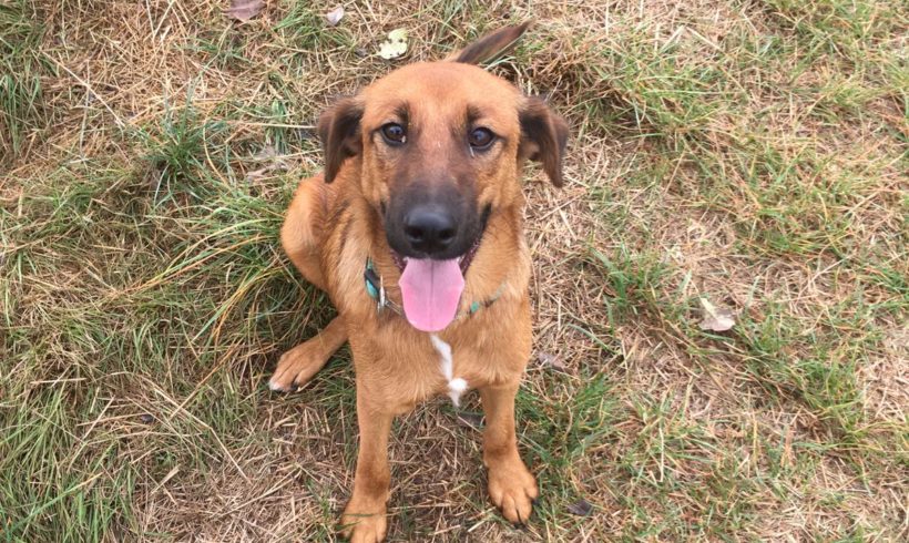 Mano ♥vermittelt♥▲ auf PS in 63868 Großwallstadt