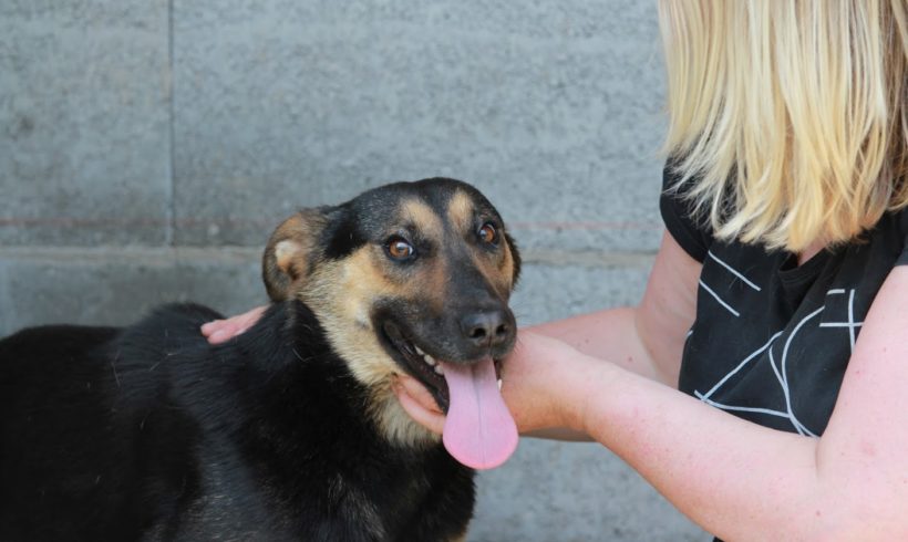 Mia 3•vermittelt•