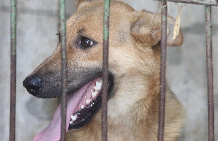 Tequila ♥vermittelt♥