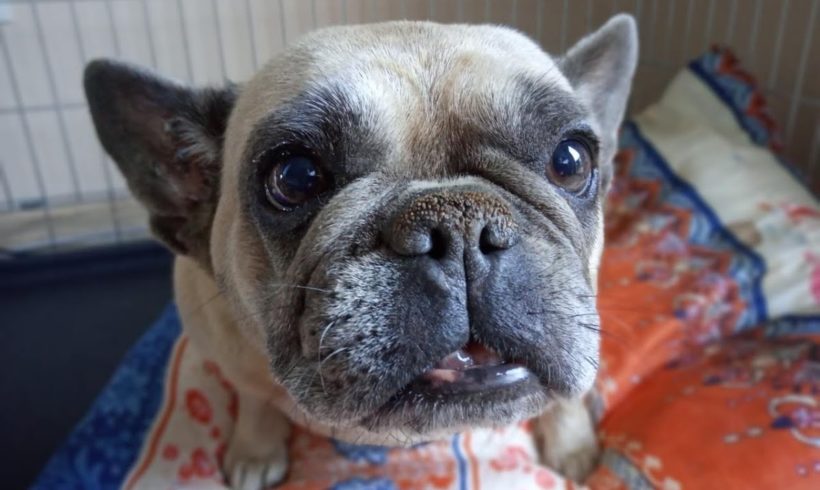 Izizs •vermittelt•