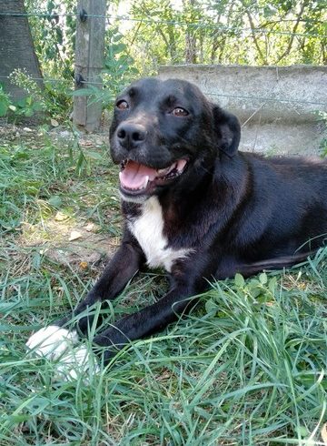 Gerda ♥vermittelt♥