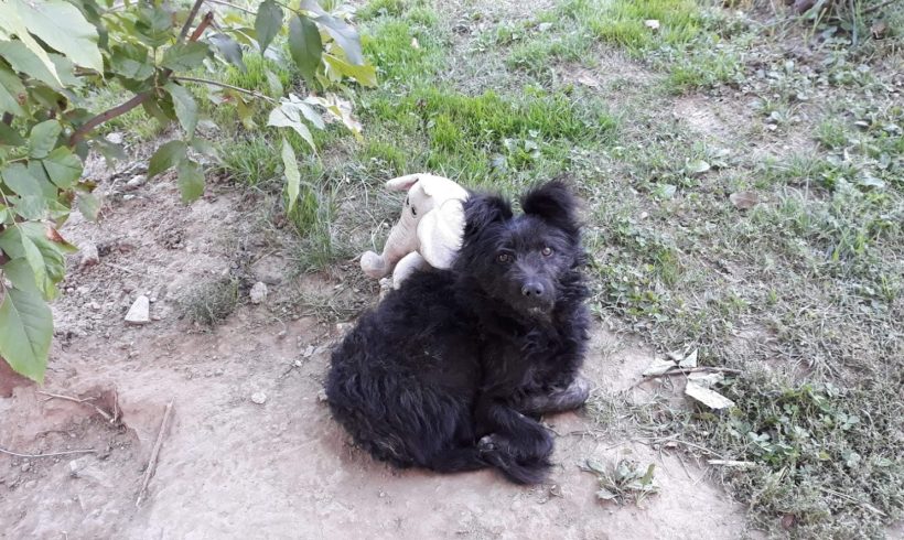 Happy •vermittelt•