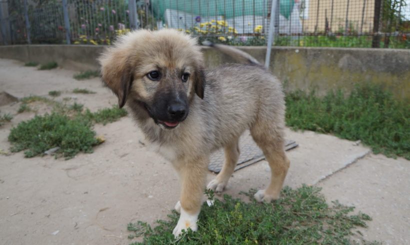 Tekla •vermittelt•