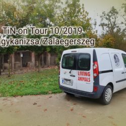 Reisebericht Nagykanizsa/Zalaegerszeg 29.10.2019-01.11.2019