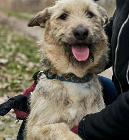 Lujza Szeged ♥vermittelt♥