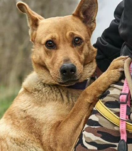 Lara Szeged ♥vermittelt♥