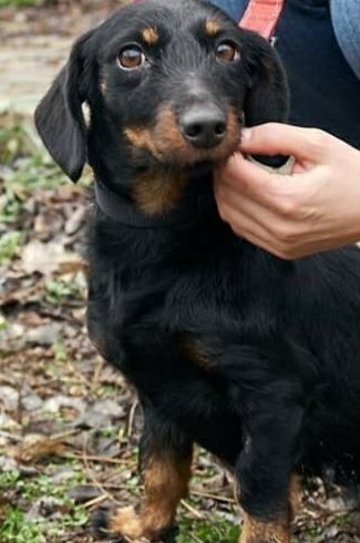 Tami •ermittelt•