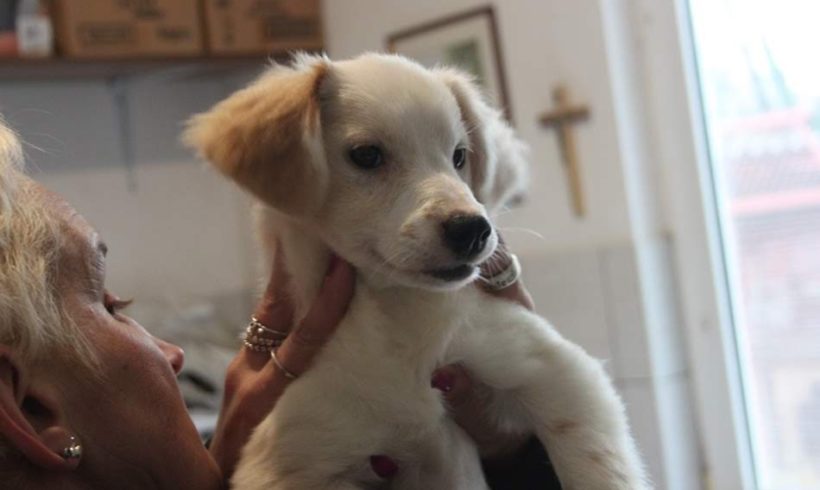 Milly ♥vermittelt♥