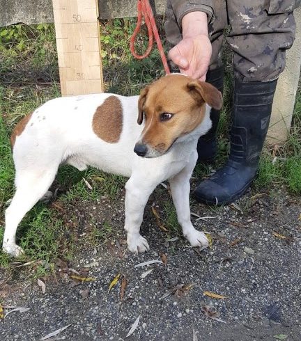 Tihamer •vermittelt•