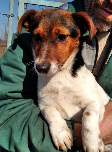 Elza ♥vermittelt♥