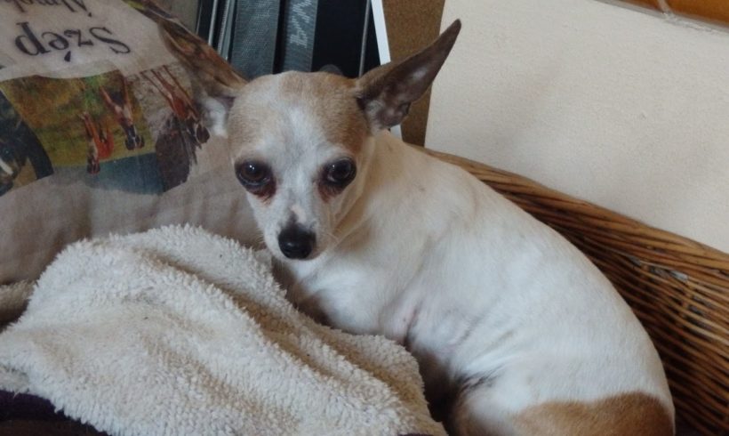 Korinna ♥vermittelt♥