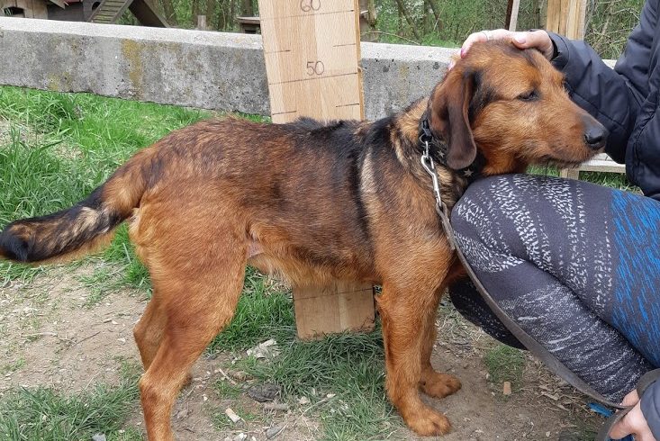 Barnus ♥vermittelt♥