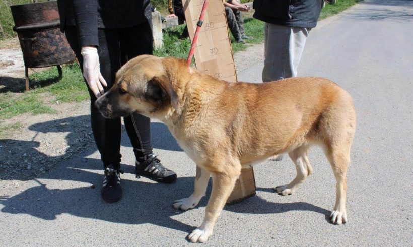 Molly •vermittelt•