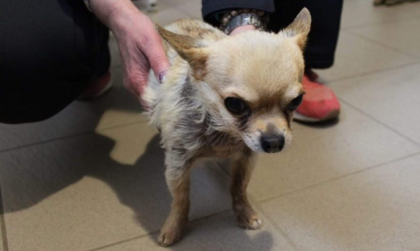 Vince ♥vermittelt♥