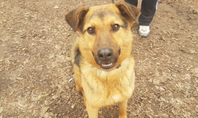 Menyus ❤️vermittelt❤️