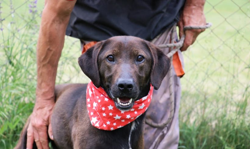 Pepita ♥vermittelt♥