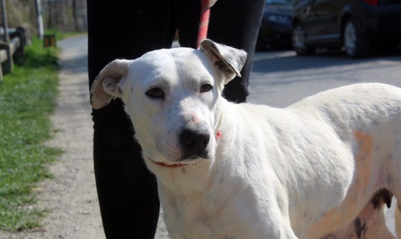 Sylvi •vermittelt•