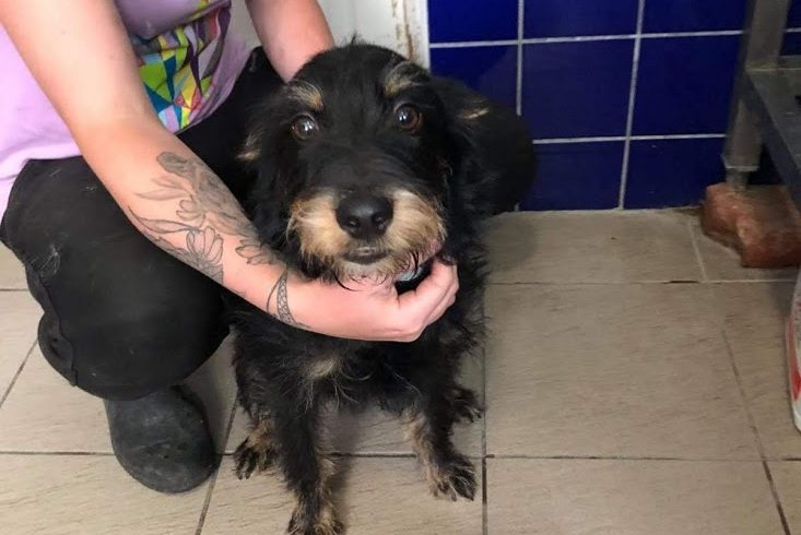 Casper ♥vermittelt♥