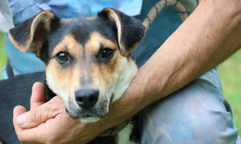 Trio♥vermittelt♥ ab 11.07. auf PS in 66773 Hülzweiler