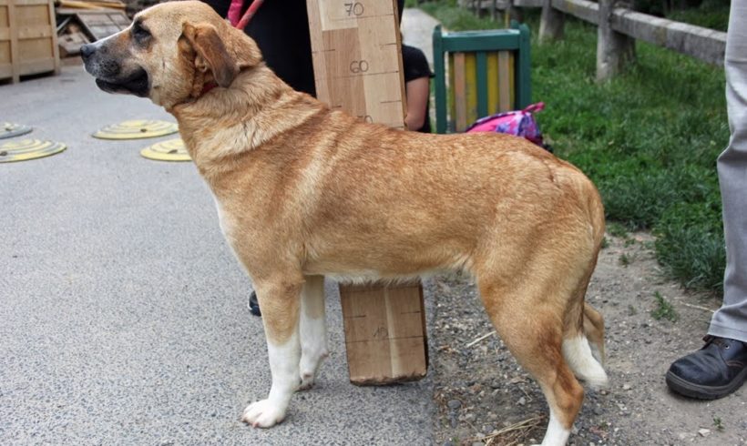 Wendy ♥vermittelt♥