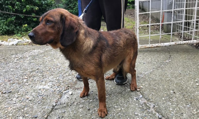 Fizko ♥vermittelt♥