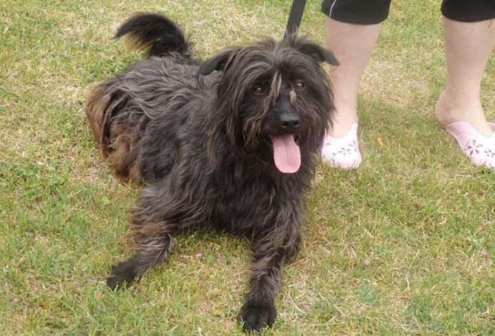 Pamacs •vermittelt•