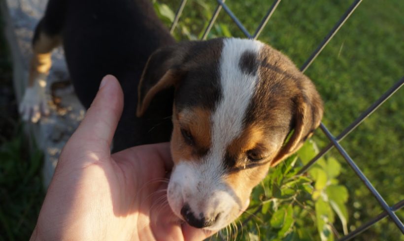 Bütyök ♥vermittelt♥