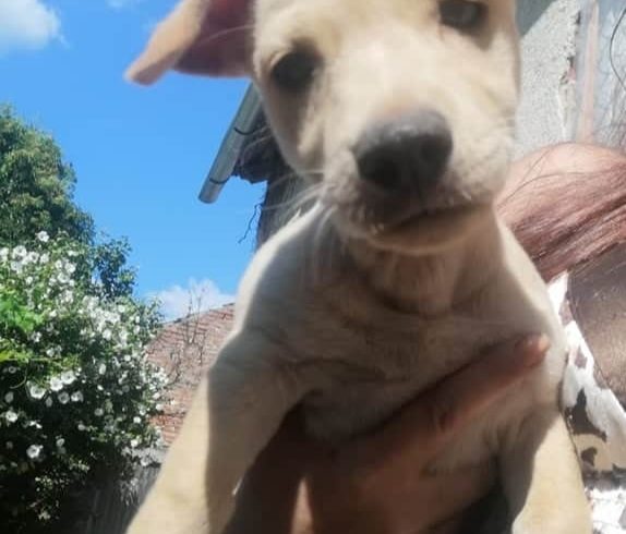 Giselle ♥vermittelt♥