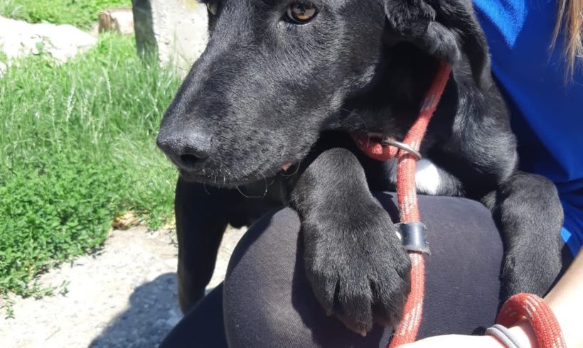 Kajla Bogancs ♥vermitte♥