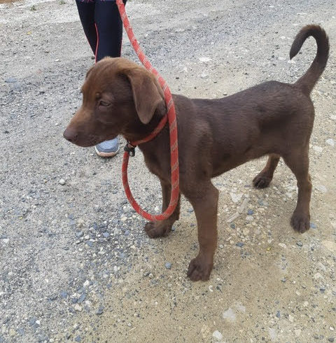 Majlo ♥vermittelt♥