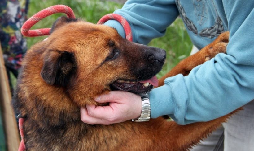 Pálma ♥vermittelt♥