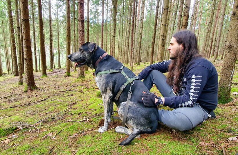 Zafir 3 ♥vermittelt♥ Zafir 3 ♥vermittelt♥