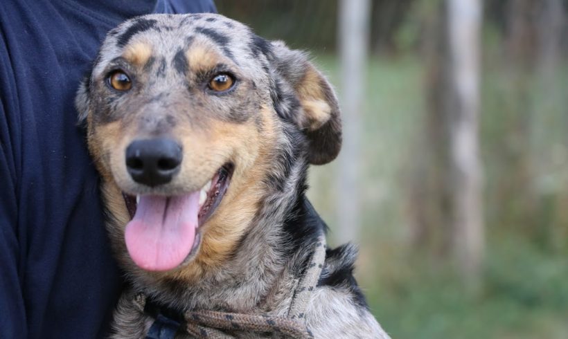 Lora ♥ vermittelt ♥