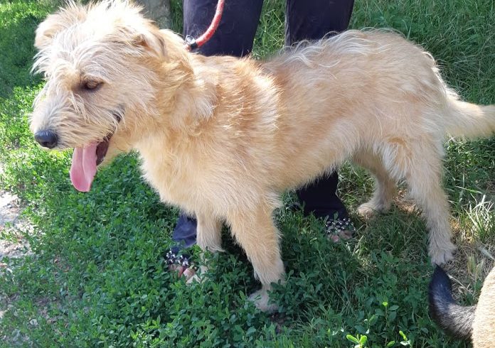 Bingo ♥vermittelt♥