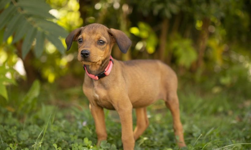 Cilike ♥vermittelt♥