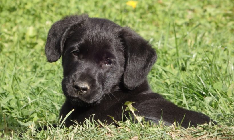 Dark ♥vermittelt♥