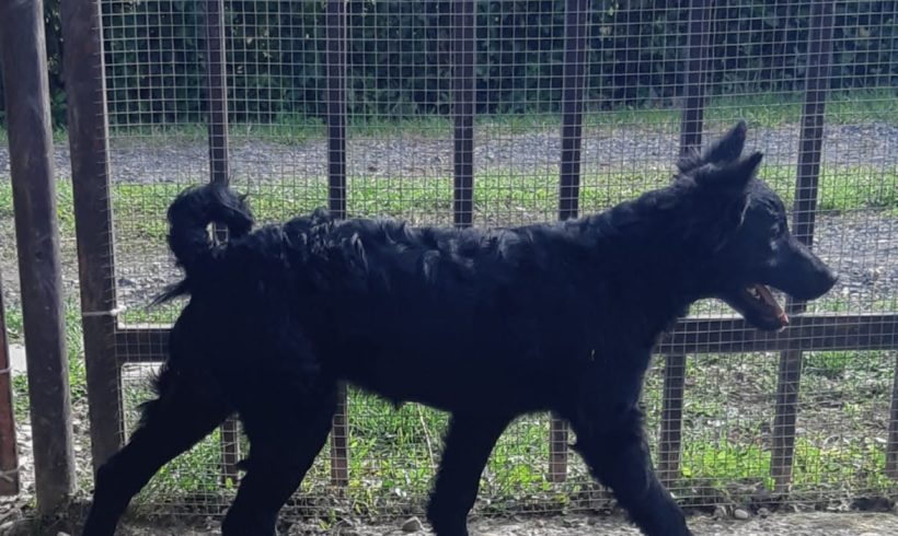 Süti 4 ♥vermittelt♥