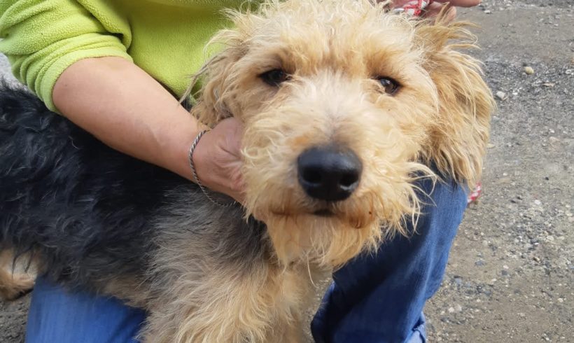 Kami Bogancs ♥vermittelt♥