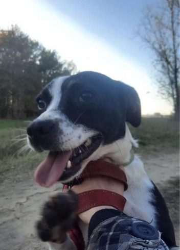 Meggy ❤️vermittelt❤️