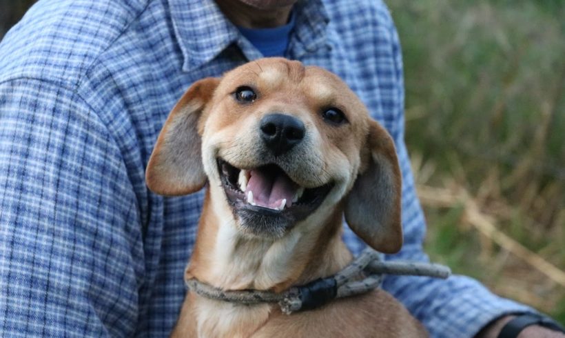 Lily Dombovar♥vermittelt ♥