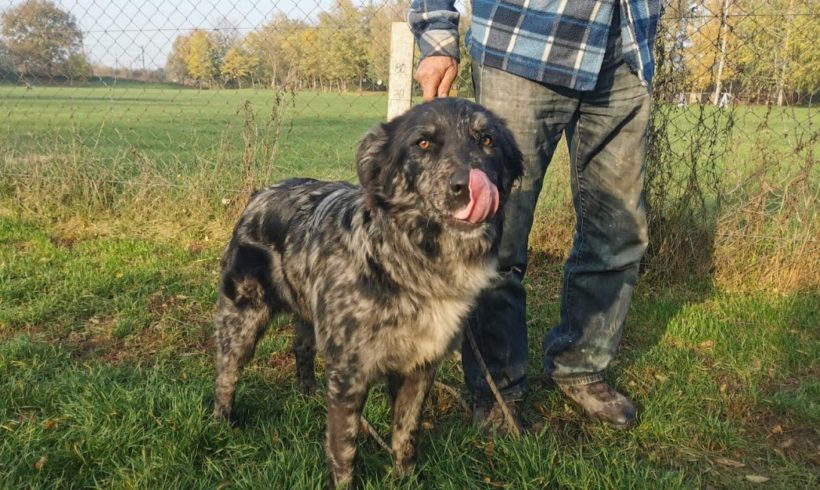 Lord ❤️vermittelt❤️