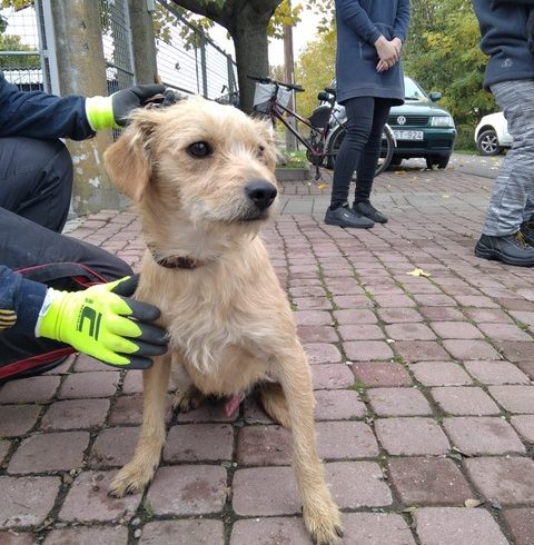 Nandi ♥vermittelt♥