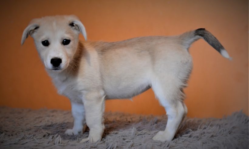 Fany ♥vermittelt♥