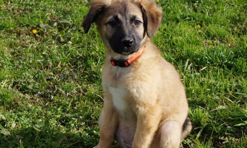 Füge 4 ♥vermittelt♥