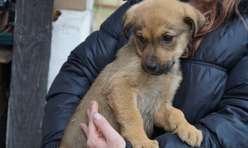 Ferko ♥vermittelt♥